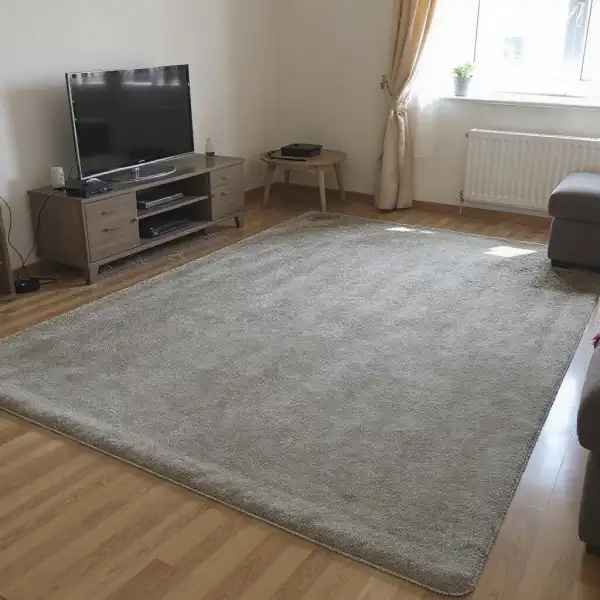 Чистка ковра в гостиной на дому - до уборки